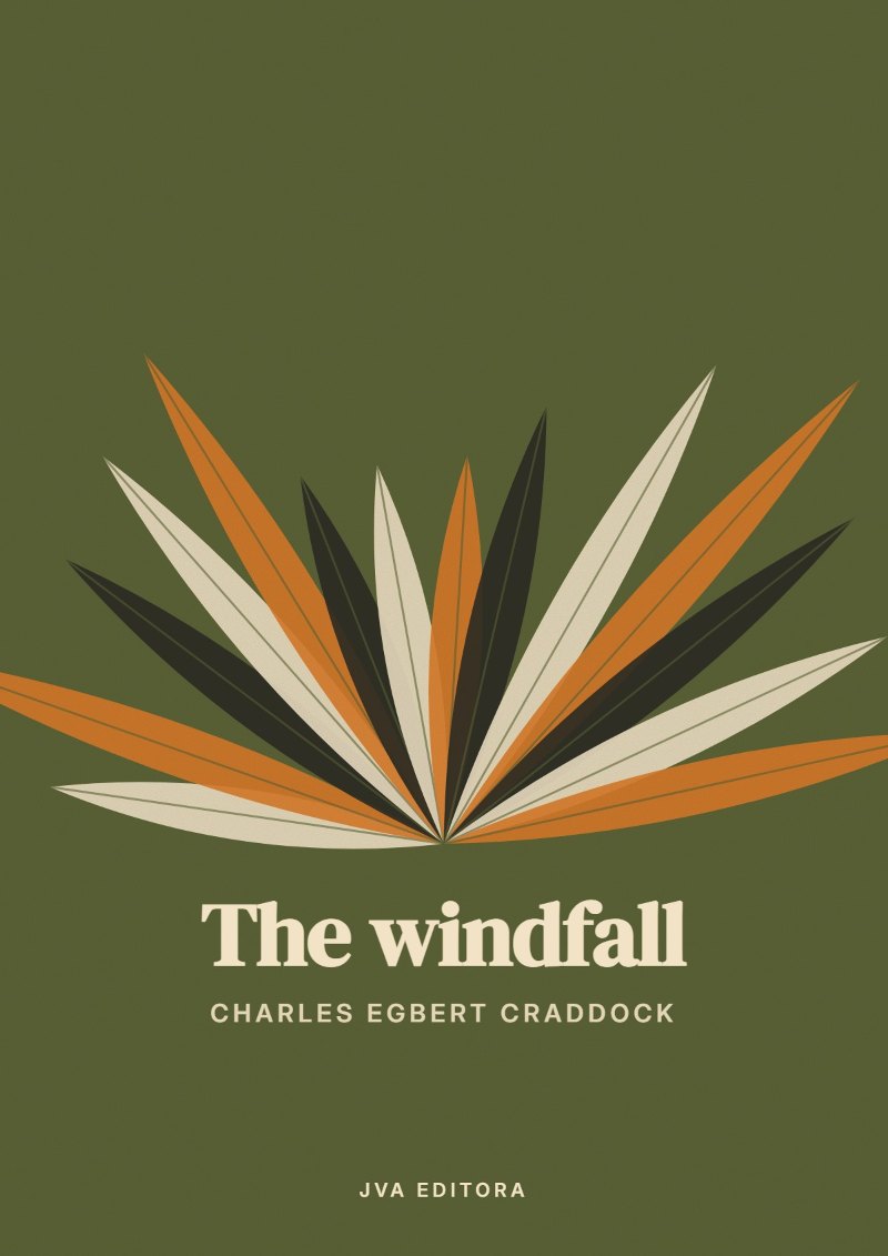 Couverture de The windfall