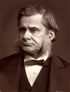 Porträt von Thomas Henry Huxley