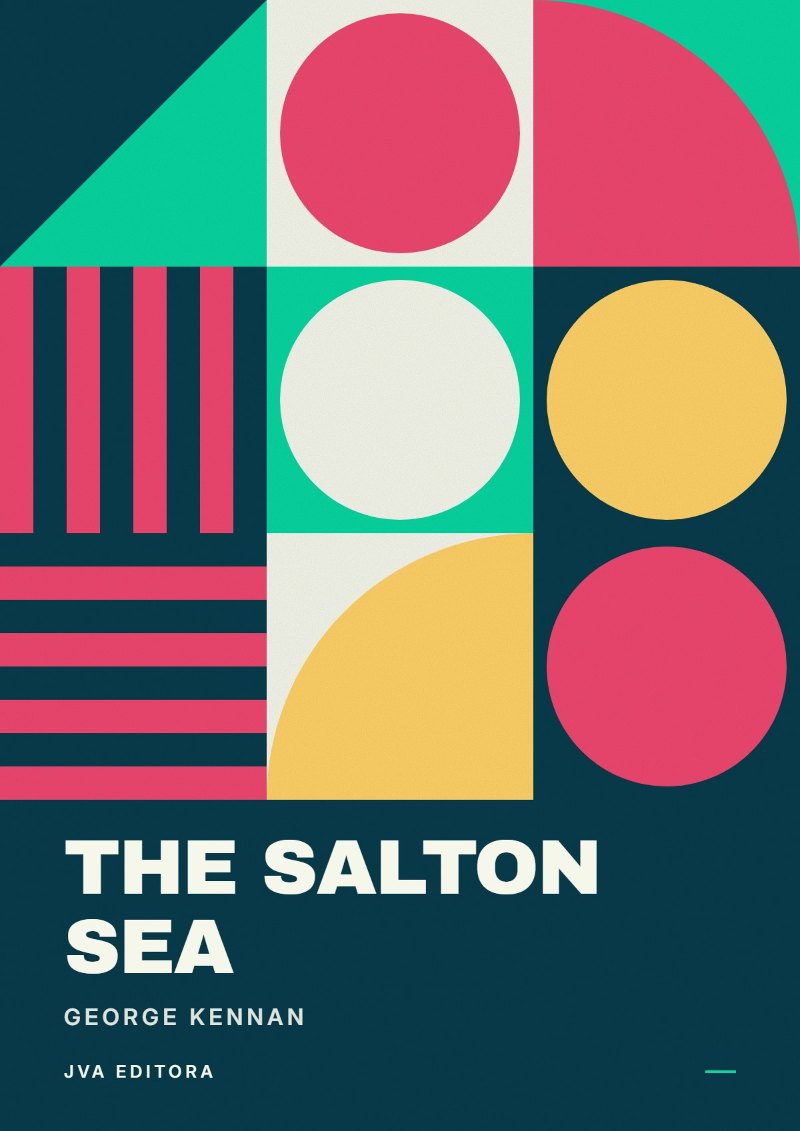 Couverture de The Salton Sea