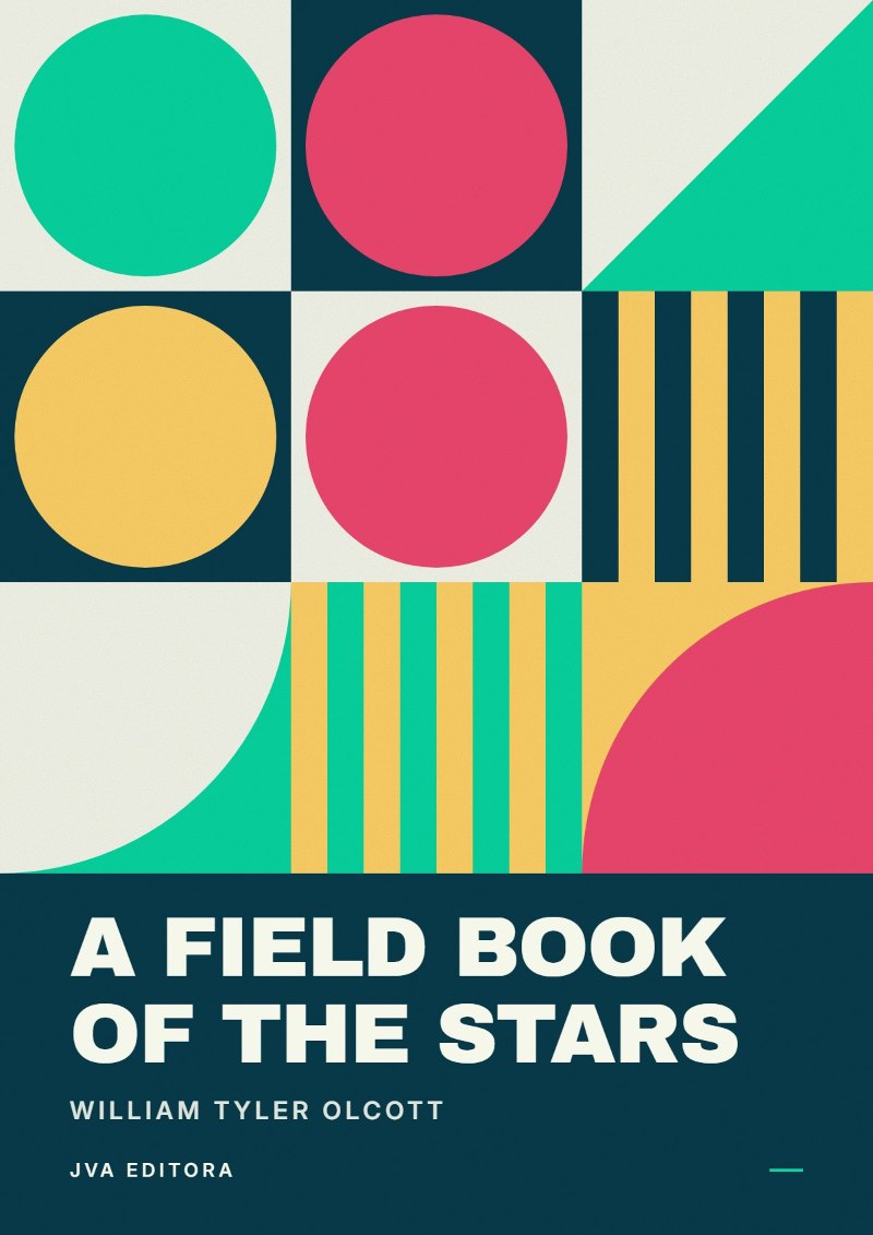 Copertina di A Field Book of the Stars