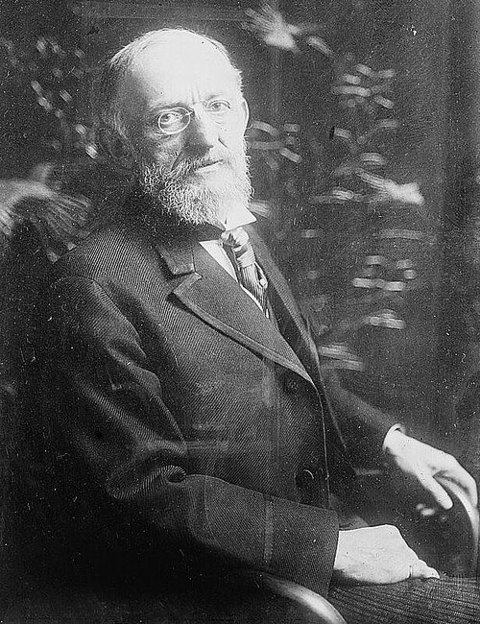 Portrait de Oscar S. Straus