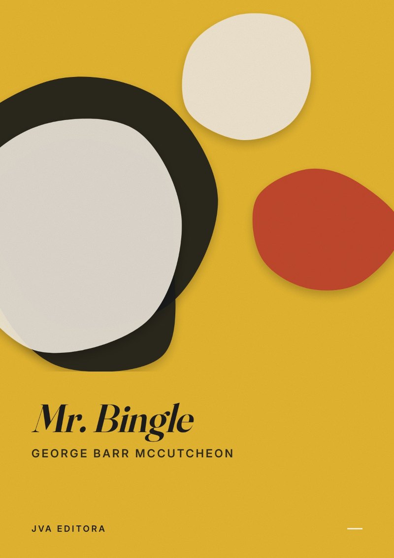 Copertina di Mr. Bingle
