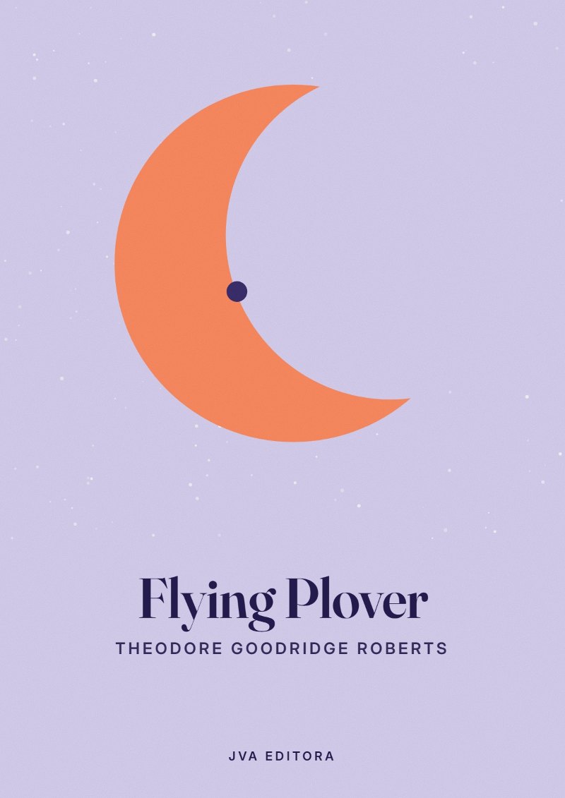 Copertina di Flying Plover