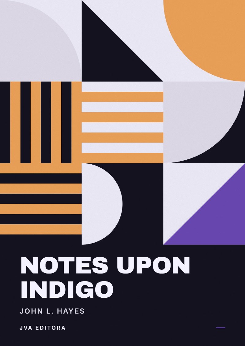 《Notes Upon Indigo》封面