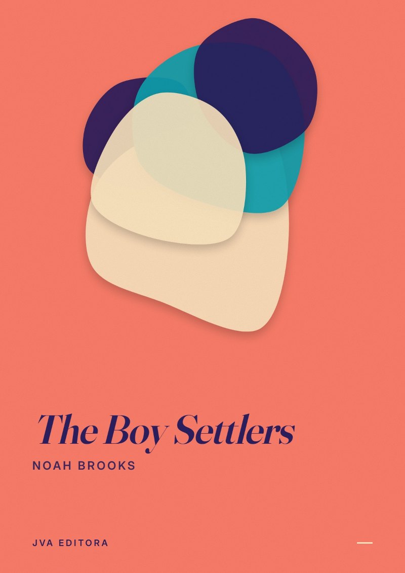 Couverture de The Boy Settlers