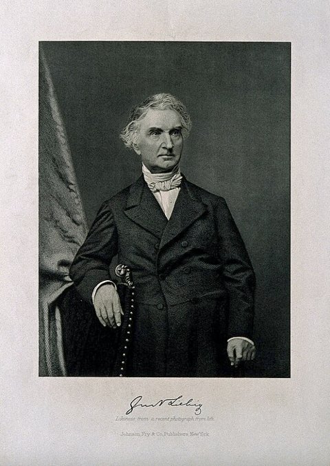 Ritratto di Justus Liebig