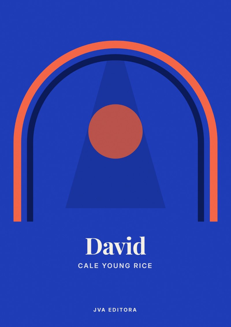 《David》封面
