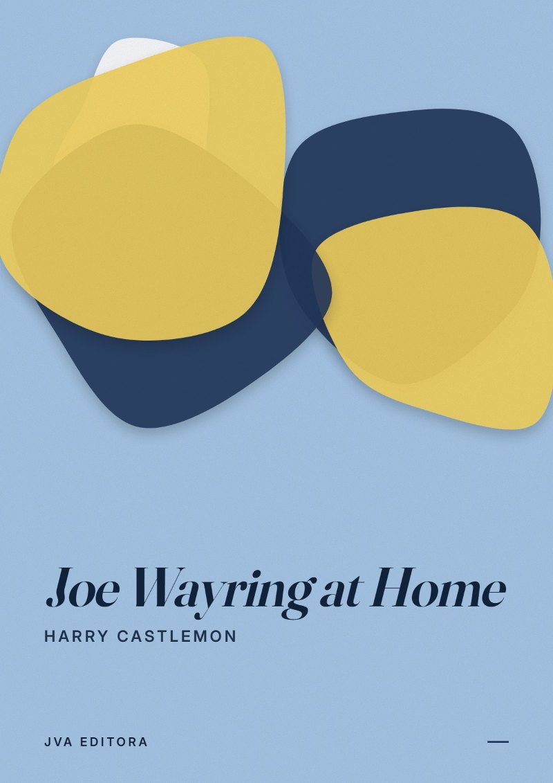 Copertina di Joe Wayring at Home