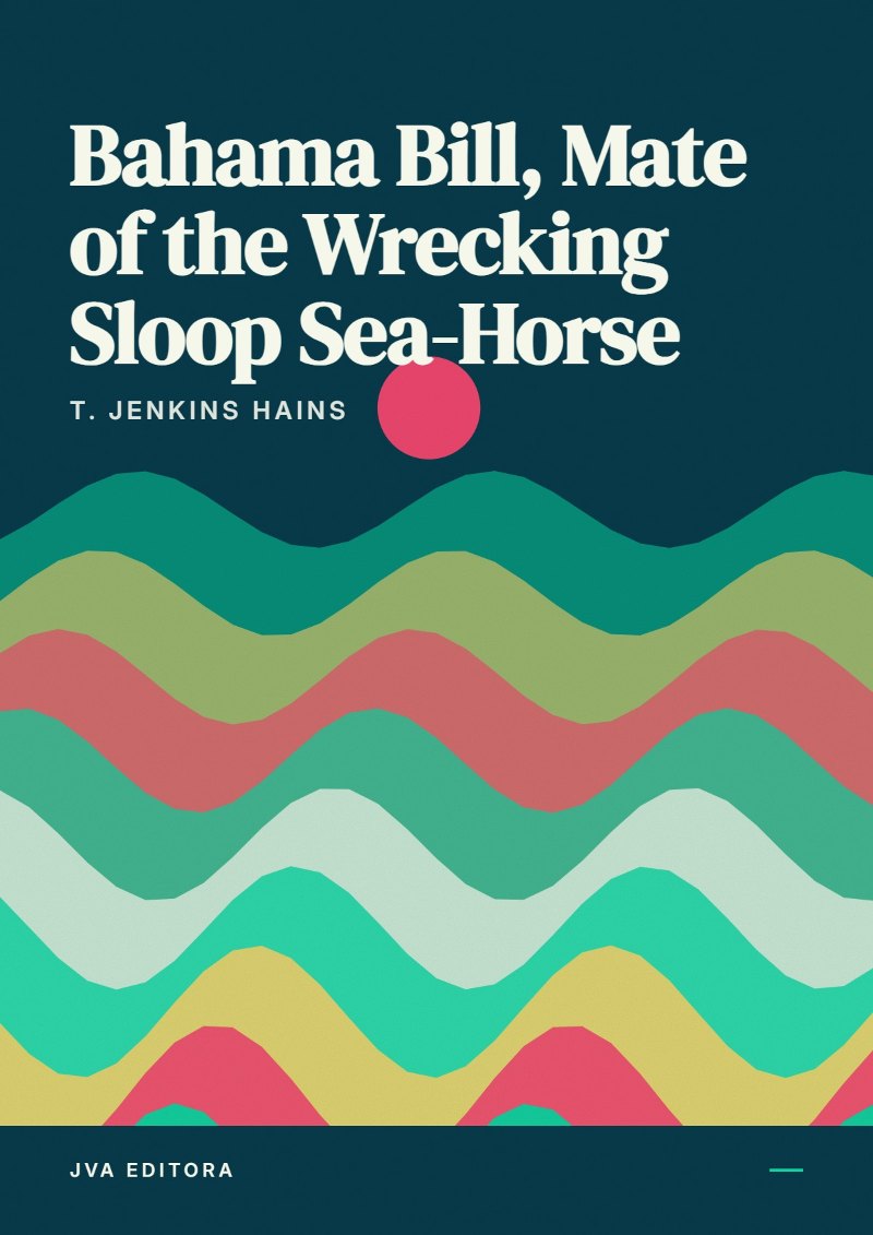 《Bahama Bill, Mate of the Wrecking Sloop Sea-Horse》封面