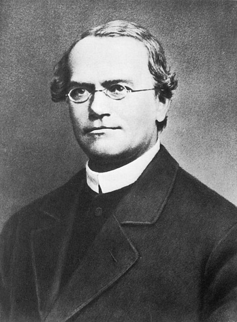 Ritratto di Gregor Mendel