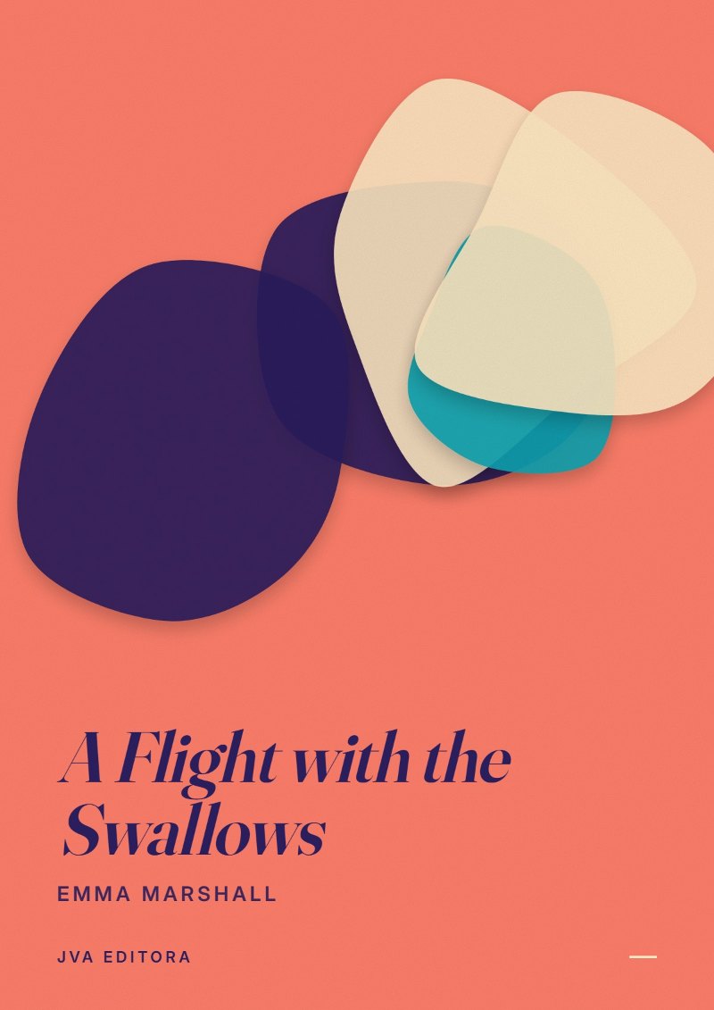 Couverture de A Flight with the Swallows