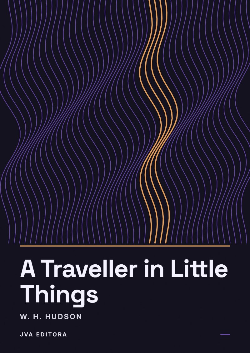 Copertina di A Traveller in Little Things