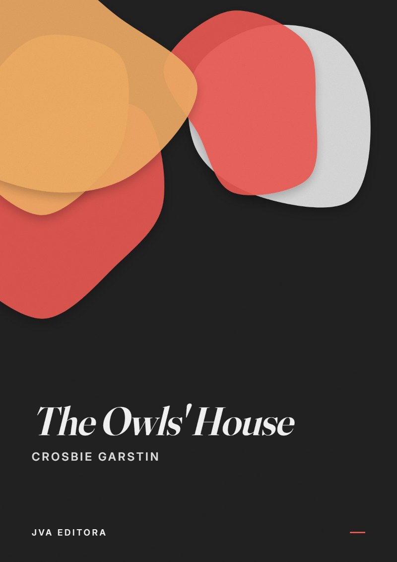 《The Owls' House》封面