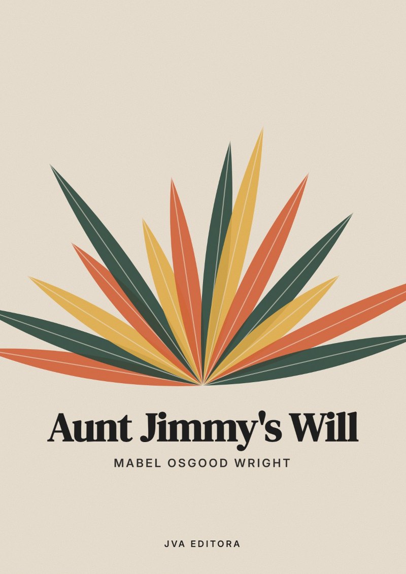 Capa de Aunt Jimmy's Will
