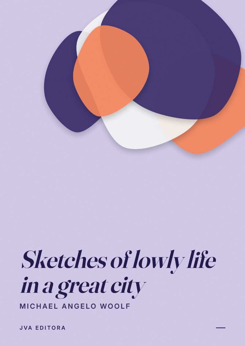《Sketches of lowly life in a great city》封面
