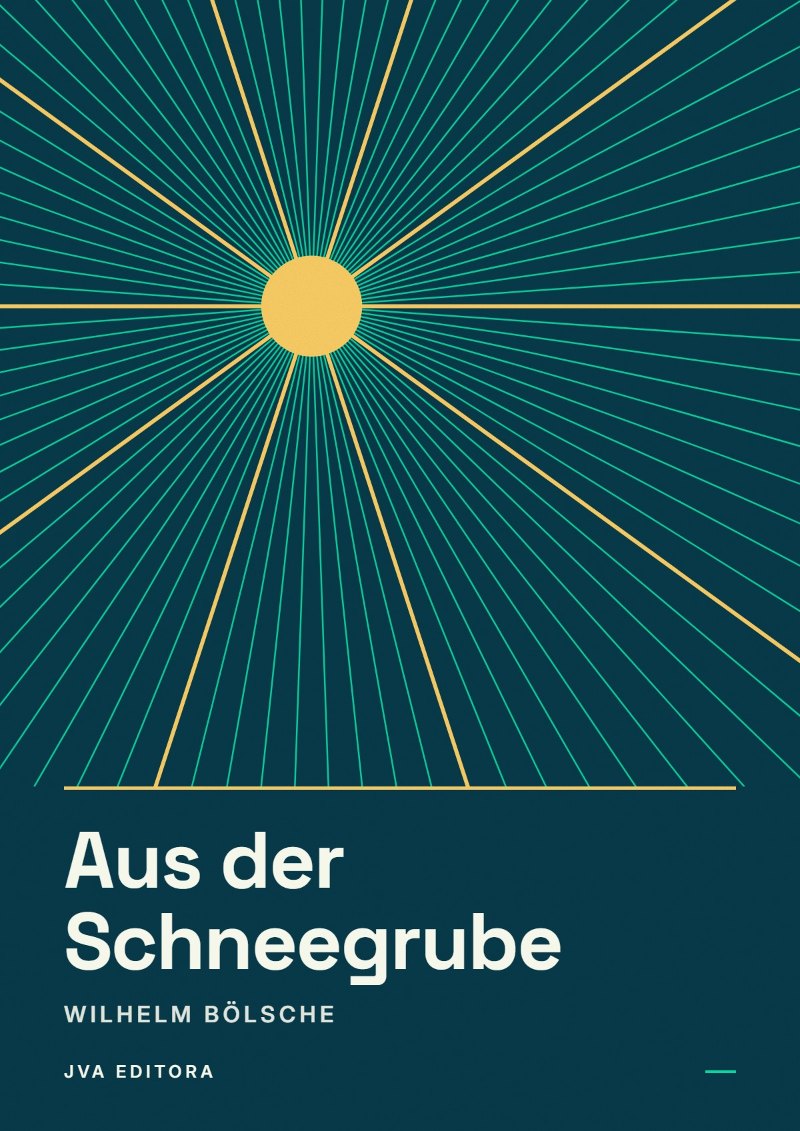 Couverture de Aus der Schneegrube