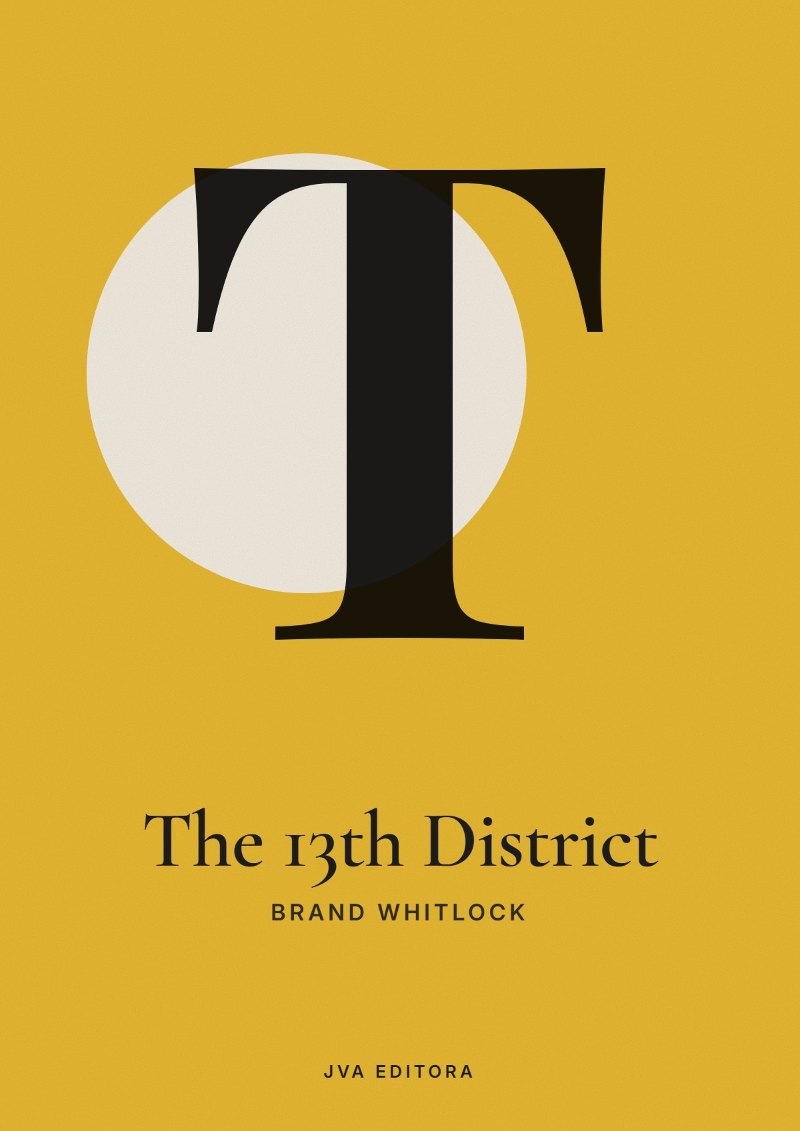 Capa de The 13th District