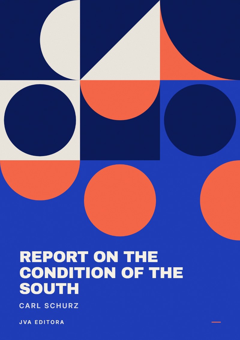Copertina di Report on the Condition of the South