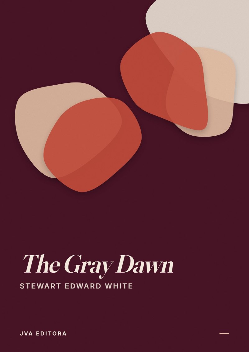 Couverture de The Gray Dawn