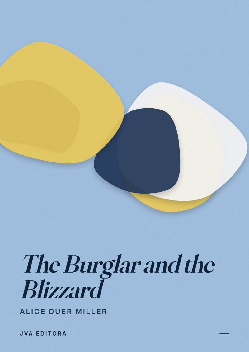 Εξώφυλλο του The Burglar and the Blizzard