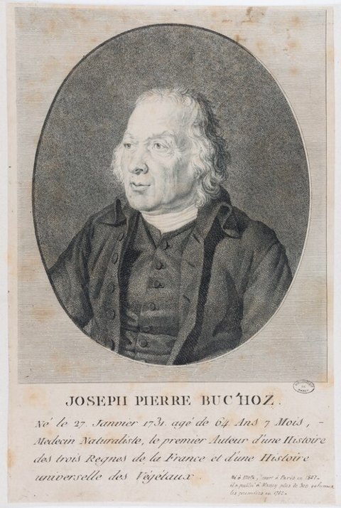 Porträt von Pierre-Joseph Buc'hoz