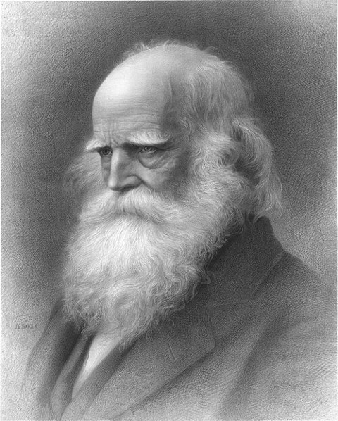 Retrato de William Cullen Bryant