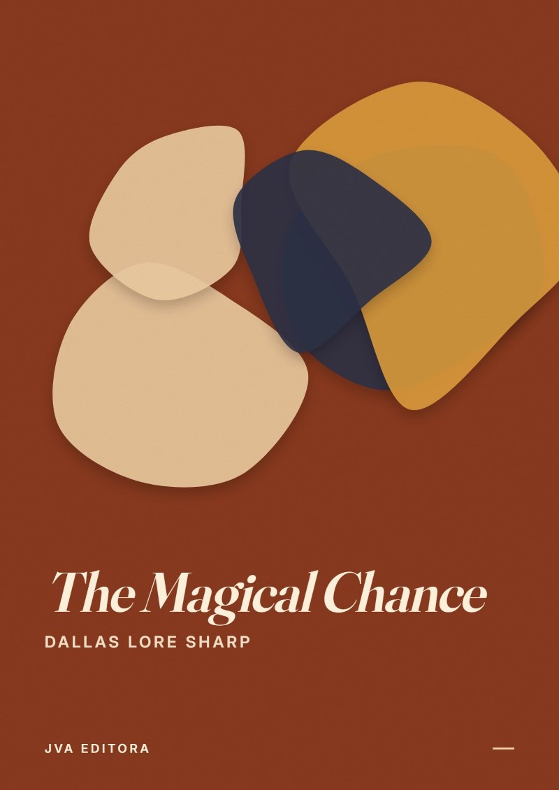Εξώφυλλο του The Magical Chance