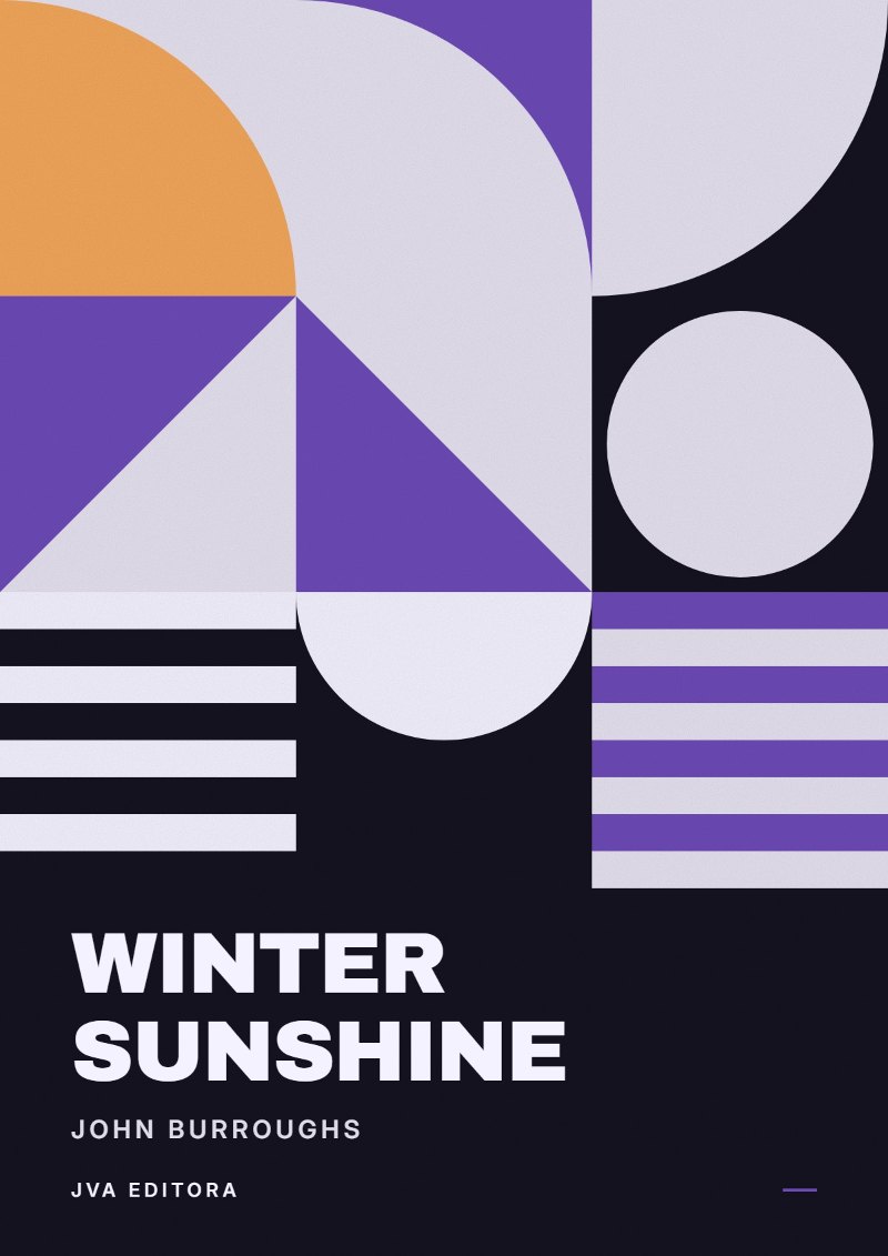 Εξώφυλλο του Winter Sunshine