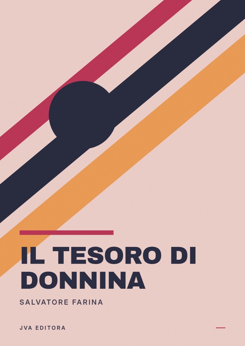 Copertina di Il tesoro di Donnina