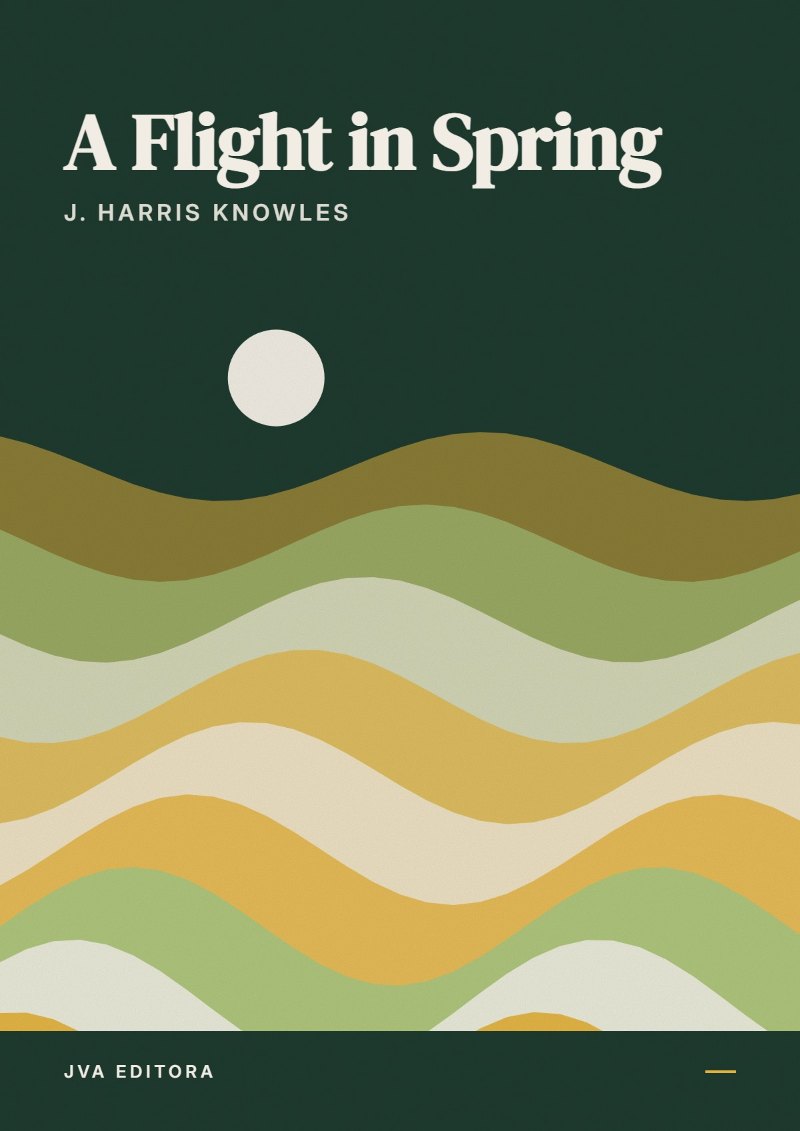 Copertina di A Flight in Spring
