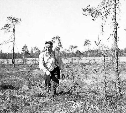 Portrait of Pentti Haanpää