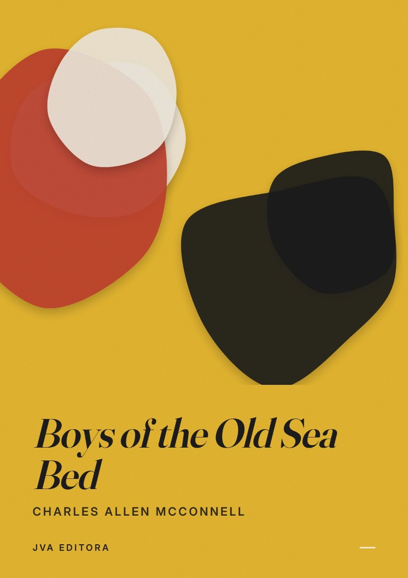 Capa de Boys of the Old Sea Bed