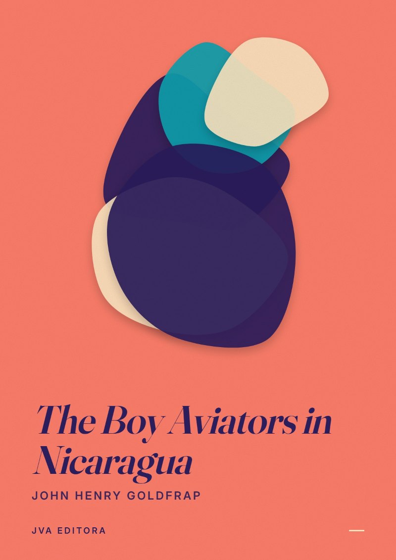 Capa de The Boy Aviators in Nicaragua