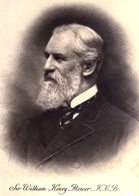 Portrait de William Henry Flower