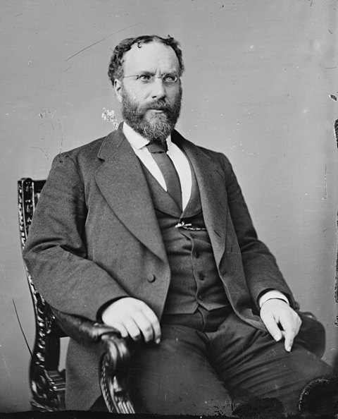 Ritratto di Robert Barnwell Roosevelt