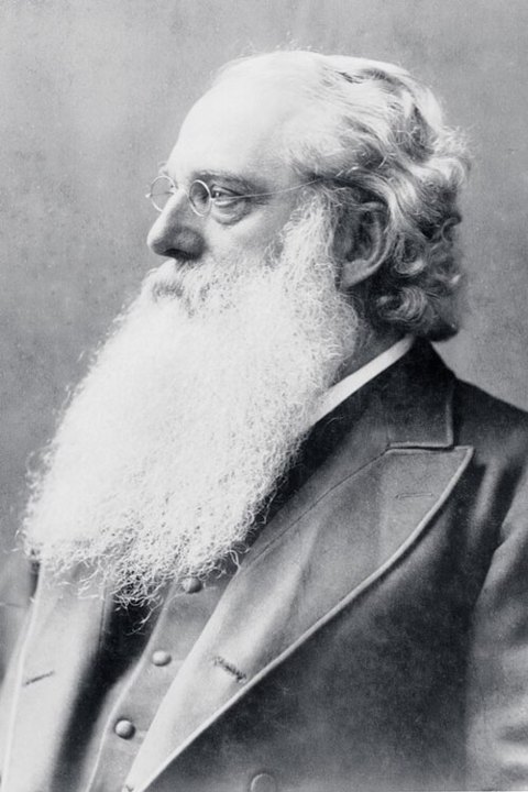 Porträt von Henry Steel Olcott