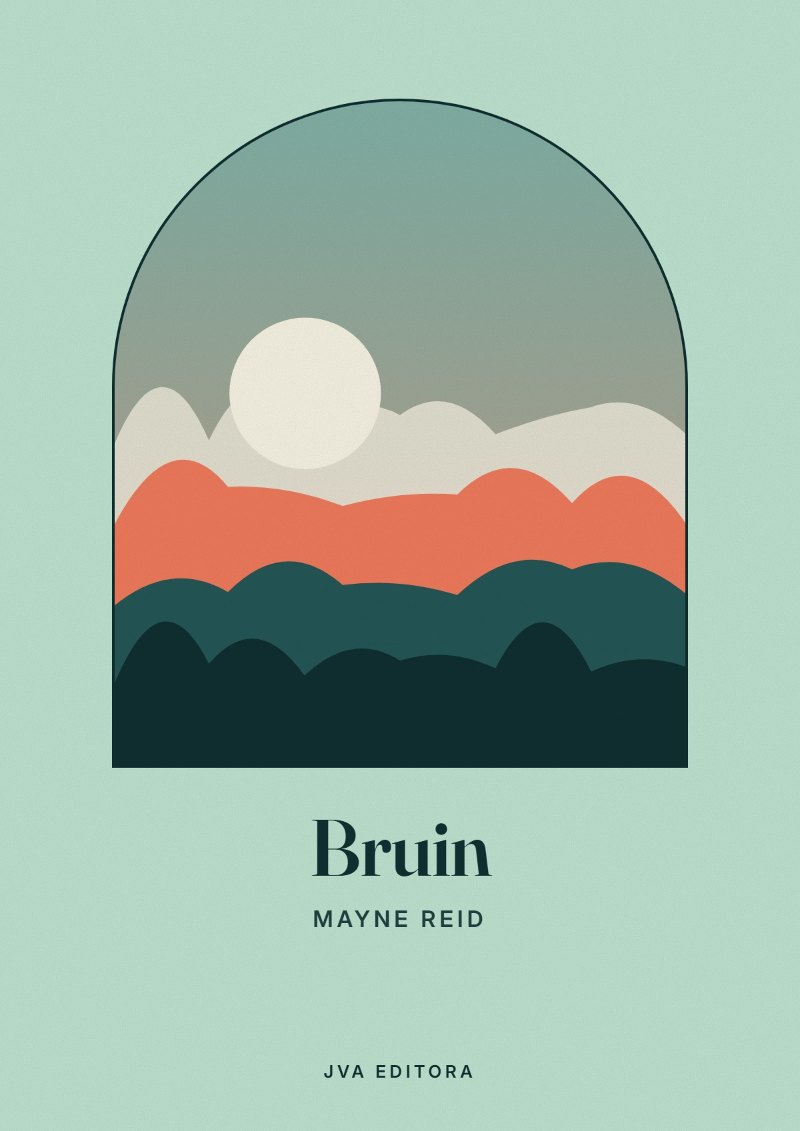 Couverture de Bruin