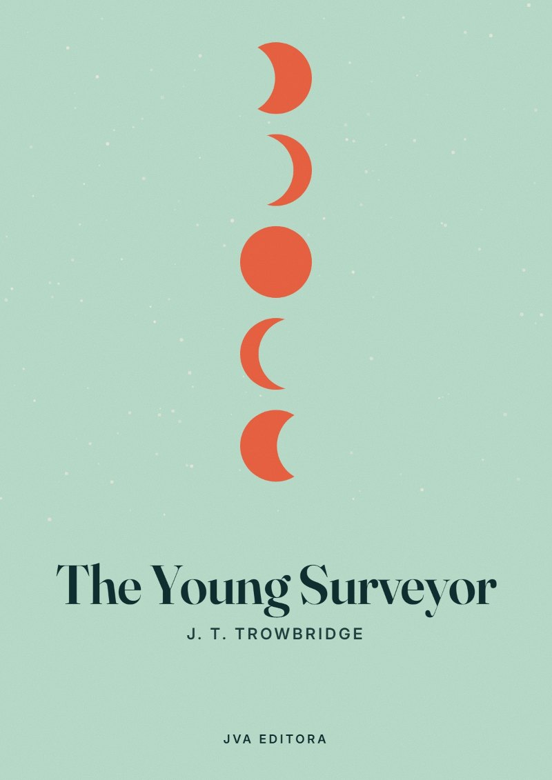 Capa de The Young Surveyor