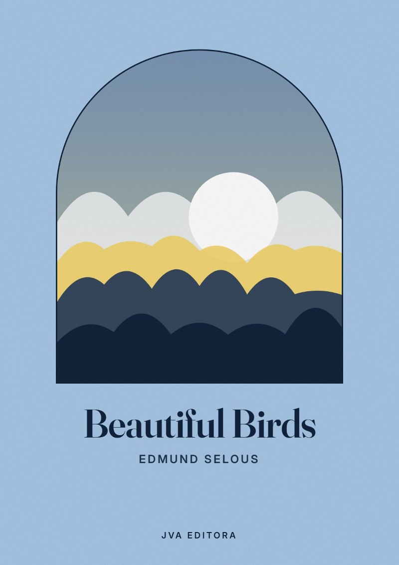 《Beautiful Birds》封面