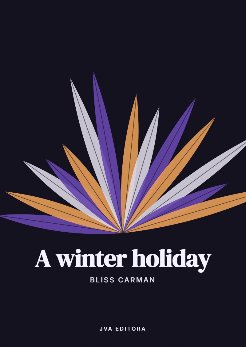 Cover von A winter holiday