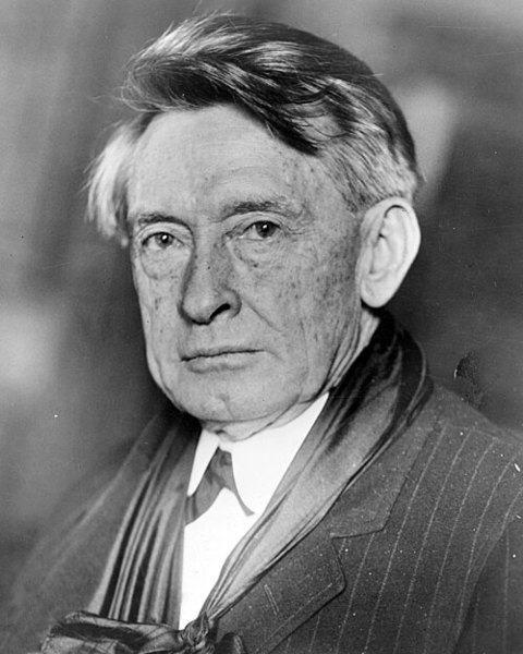 Porträt von Thomas E. Watson