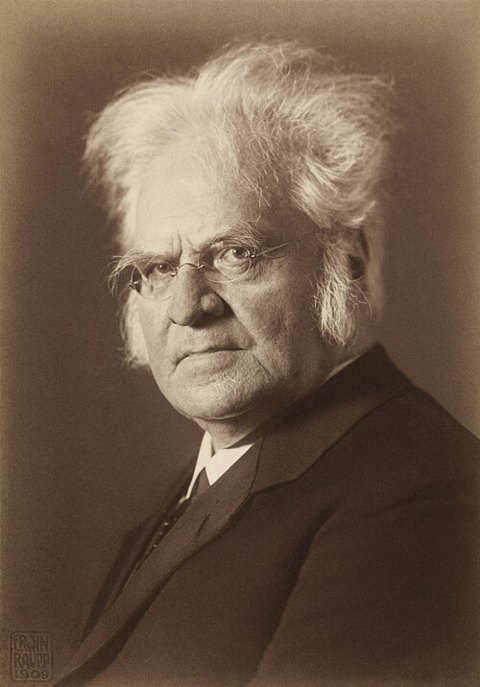 Porträt von Bjørnstjerne Bjørnson