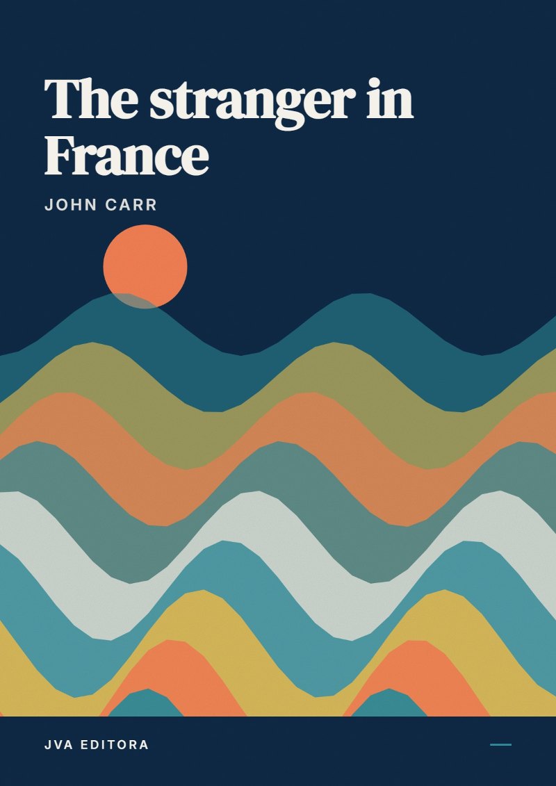 Cover of The stranger in France