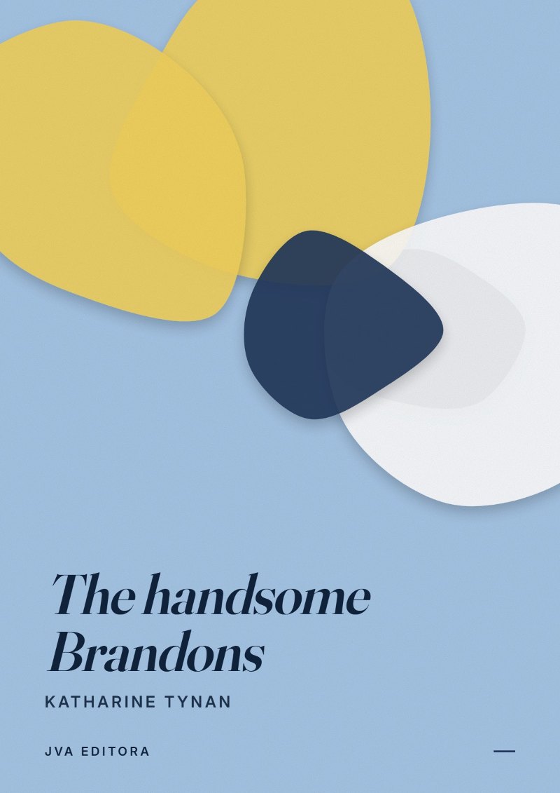《The handsome Brandons》封面