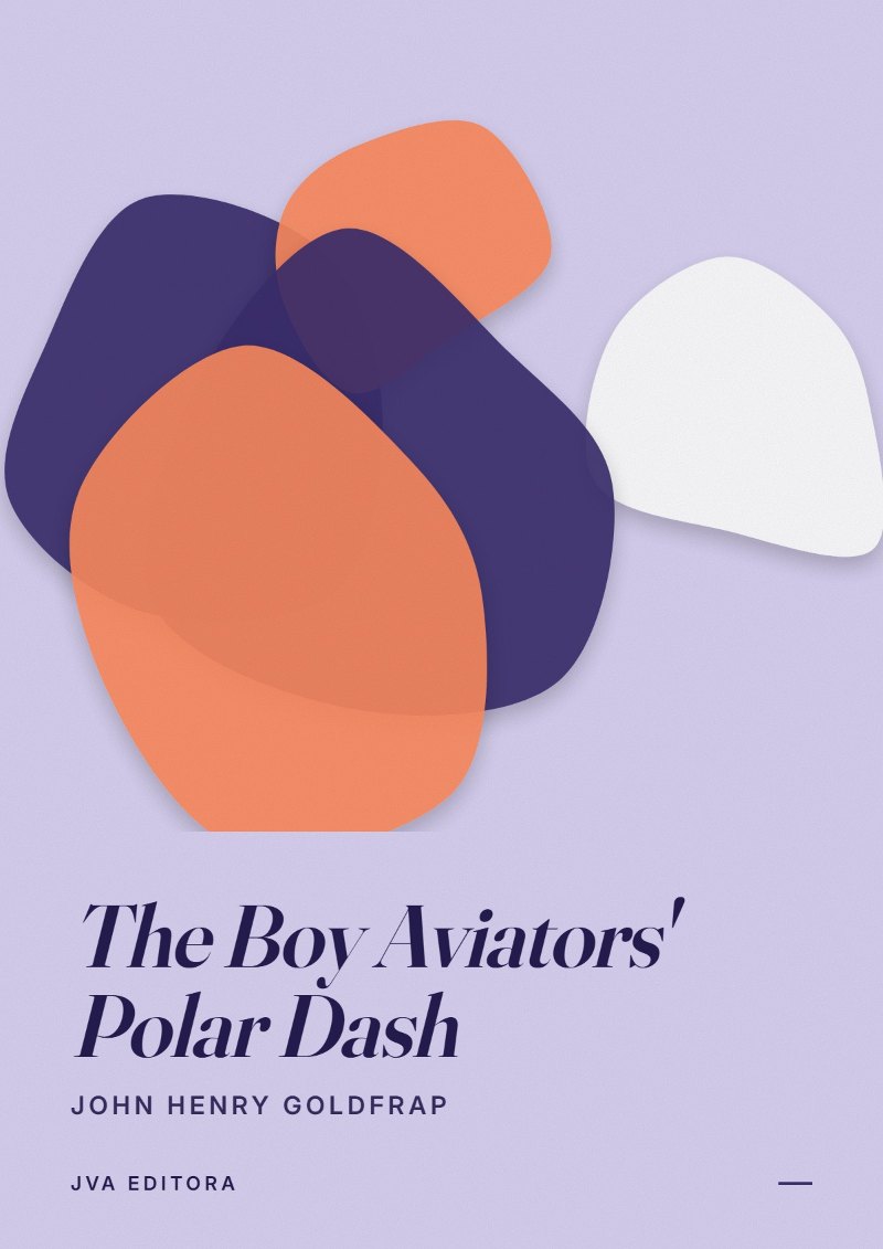 《The Boy Aviators' Polar Dash》封面