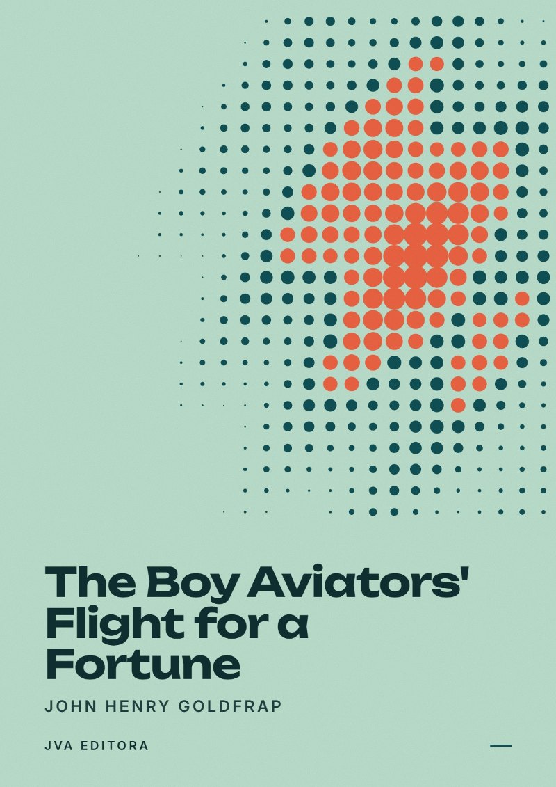 Copertina di The Boy Aviators' Flight for a Fortune