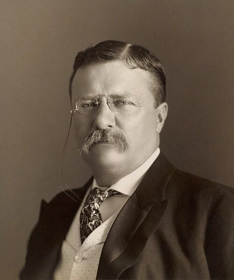 Porträt von Theodore Roosevelt