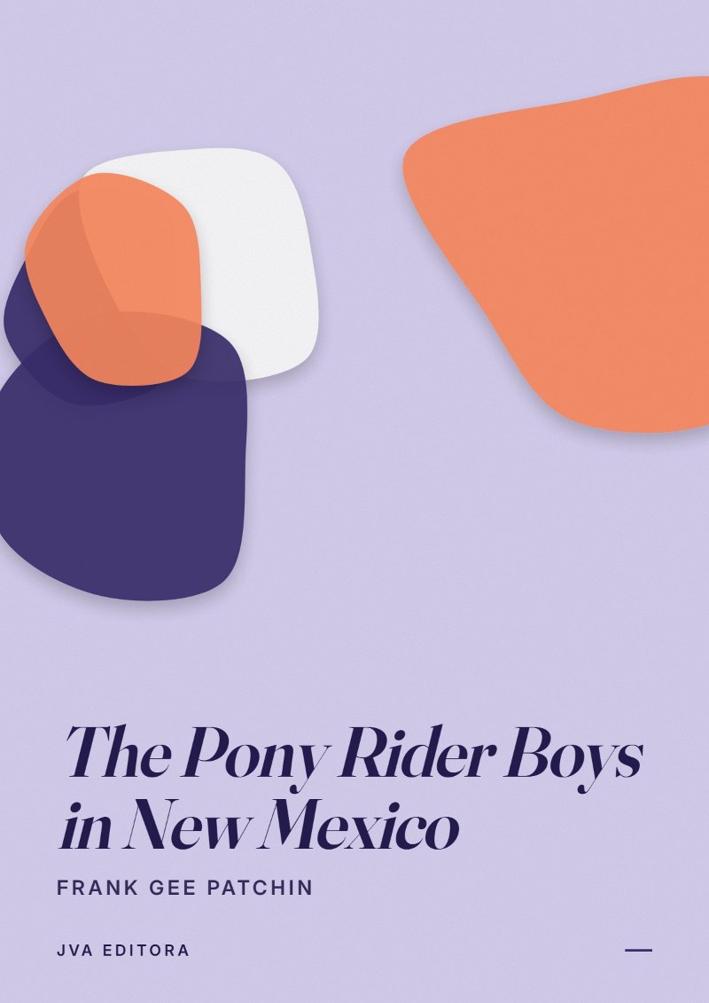 Εξώφυλλο του The Pony Rider Boys in New Mexico
