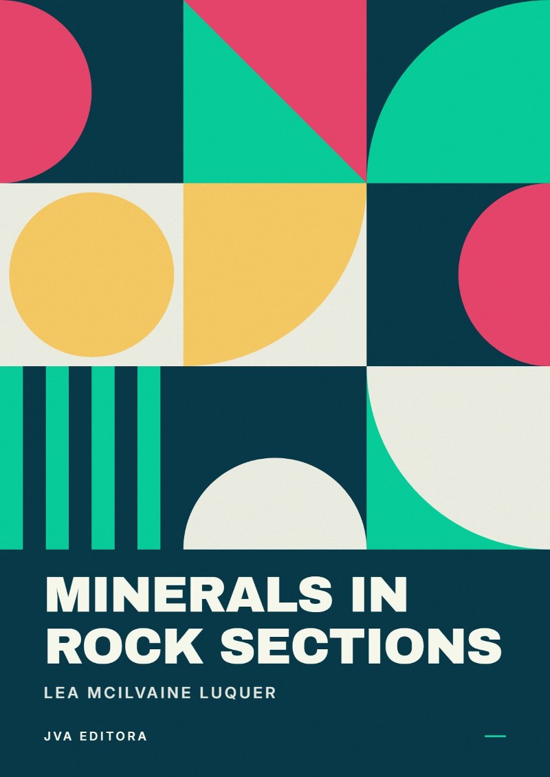 Cover von Minerals in rock sections