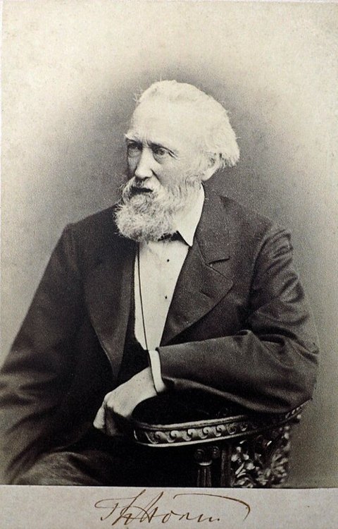 Retrato de Theodor Storm
